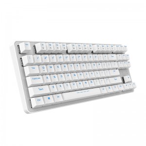 Wireless mechanical keyboard Dareu EK807G 2.4G (white)